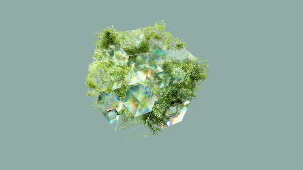 六宝典大全资料一